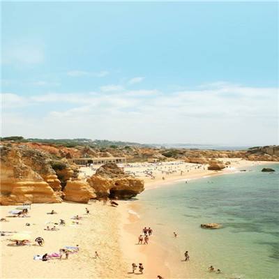 鸭脖体育app官网下载官方版